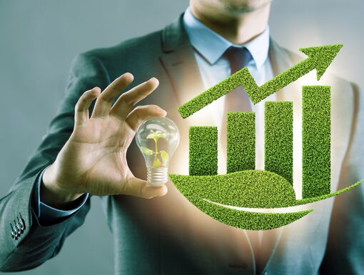 Sustainability stock
