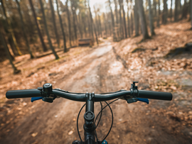 First-person view of handling the bicycle on the forest road in the city towards sunlight. Concept of using a bicycle for sports and recreation out of a town.