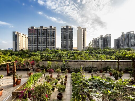 May 2017 - Guangzhou, China. View of an urban garden in Panyu district.