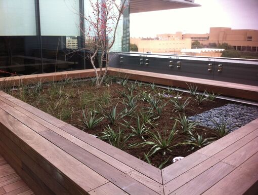 Vegetative Roof University of Texas Student Center Project